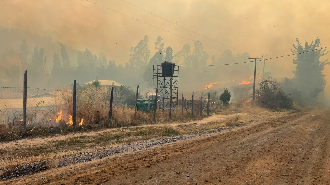 Incendio en Santa Juana y Nacimiento ha dejado 29 viviendas destruidas