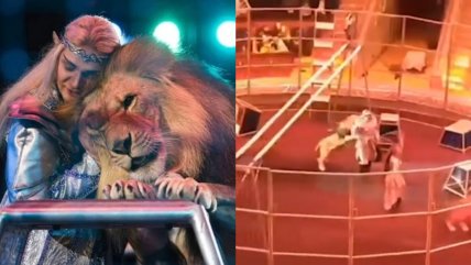  León atacó a domador de circo en plena función  