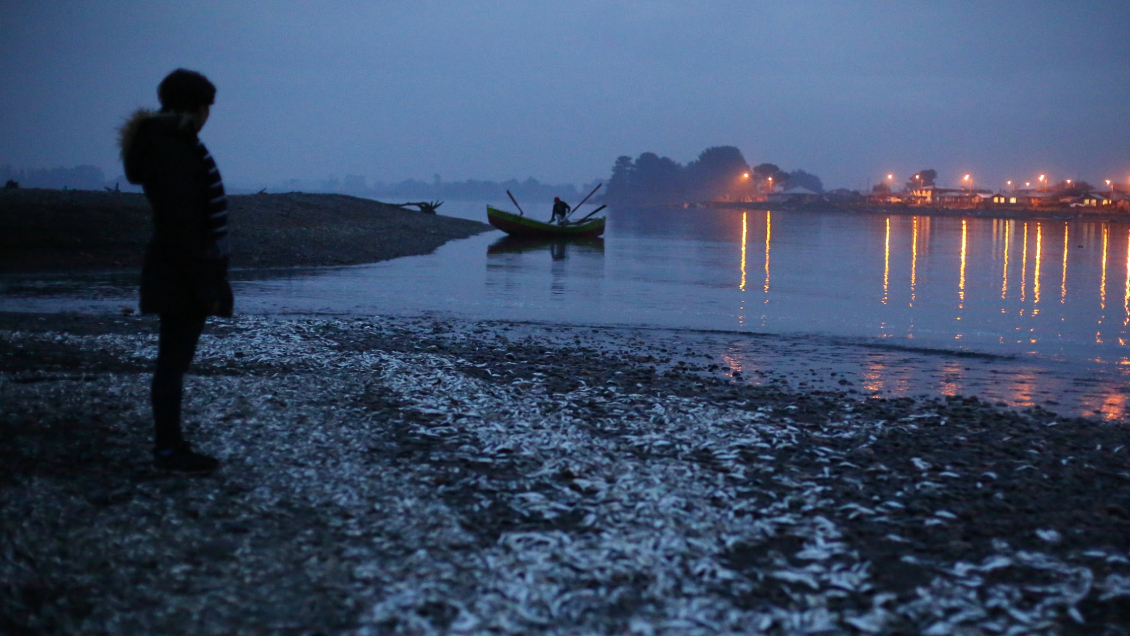 Naufragio en el Golfo de Arauco dejó a una víctima fatal