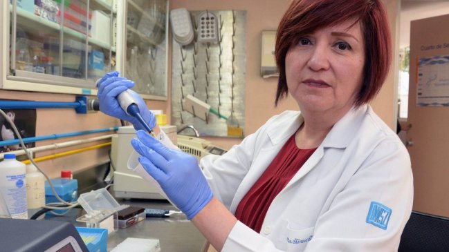 Prueban con éxito un páncreas artificial para pacientes con diabetes tipo 2