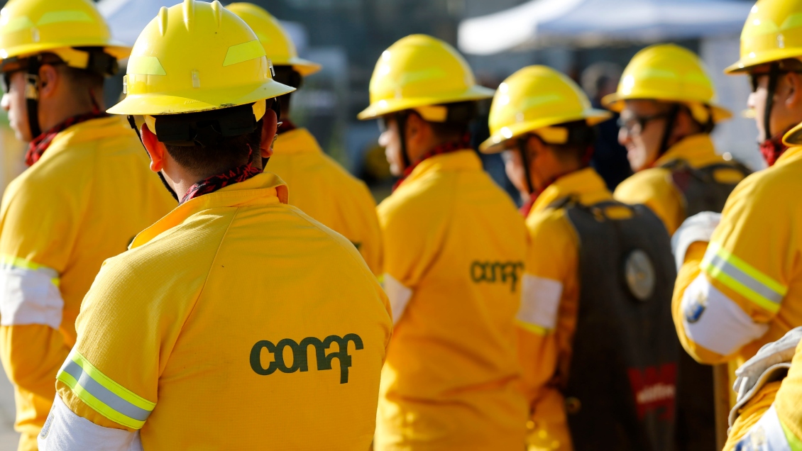 Sindicato de Conaf acusó que proyecto del Servicio Áreas Protegidas fortalece la concesión a privados