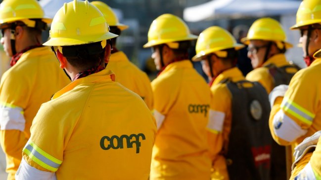 Sindicato de Conaf acusó que proyecto del Servicio Áreas Protegidas fortalece la concesión a privados