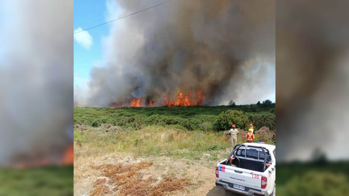 Alerta roja y evacuación por incendio forestal en Puerto Montt