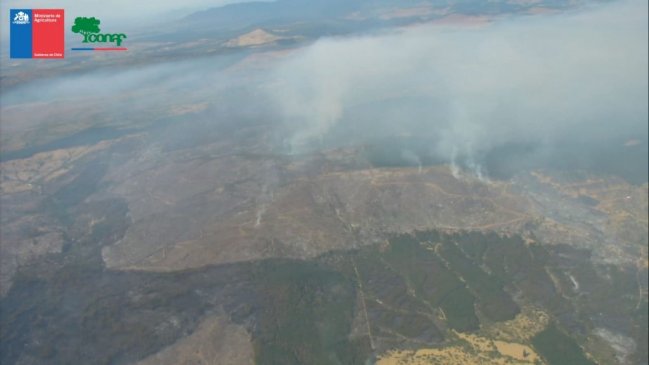 Conaf investiga intencionalidad en incendio forestal de Cauquenes que consumió 2.700 hectáreas