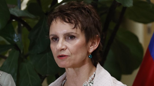 Crimen de detective: Tohá compromete 