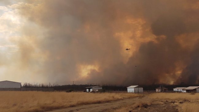 Alerta roja para Los Sauces por incendio forestal