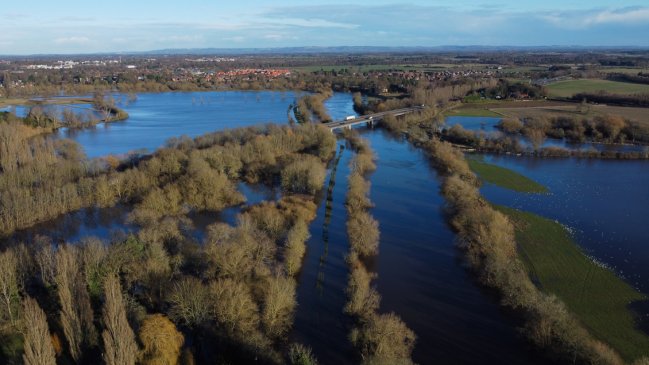 Inglaterra investigará la muerte de miles de cangrejos y langostas en su costa