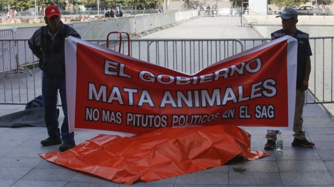 SAG criticó protesta con león muerto y descartó responsabilidad en su deceso