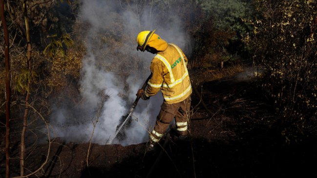 Declaran dos alertas rojas por incendios forestales en el Ñuble: Afectan a Quillón y Chillán Viejo