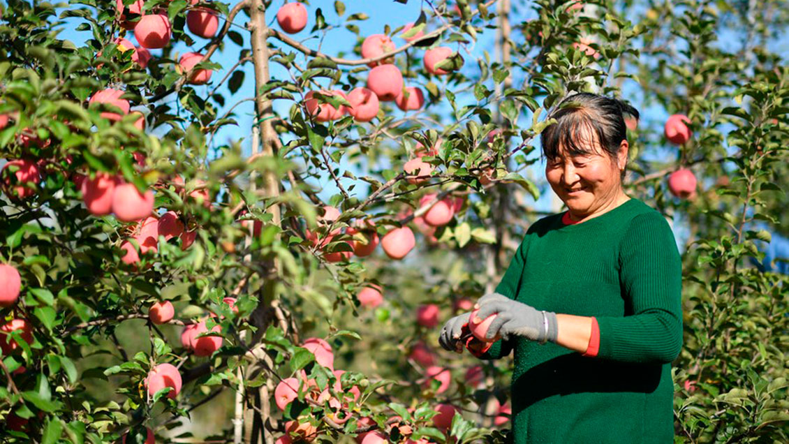 Ingresos de personas que superaron la pobreza en China aumentan 14,3% en 2022
