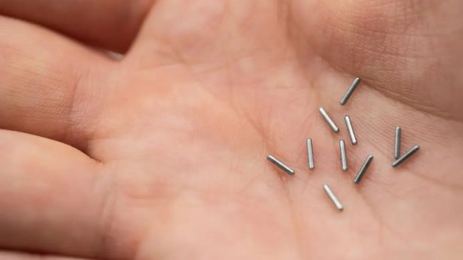 Semillas radiactivas, el innovador tratamiento para el cáncer de próstata disponible en el GES