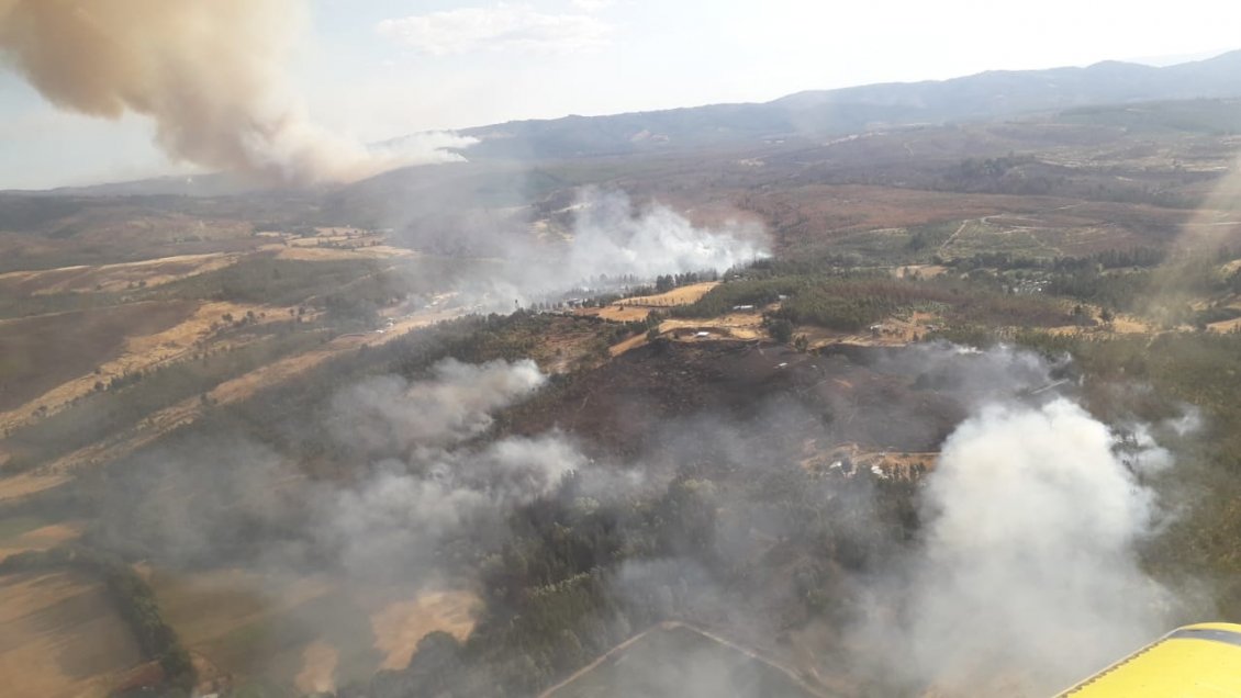 Dos incendios forestales afectan a la Región de La Araucanía