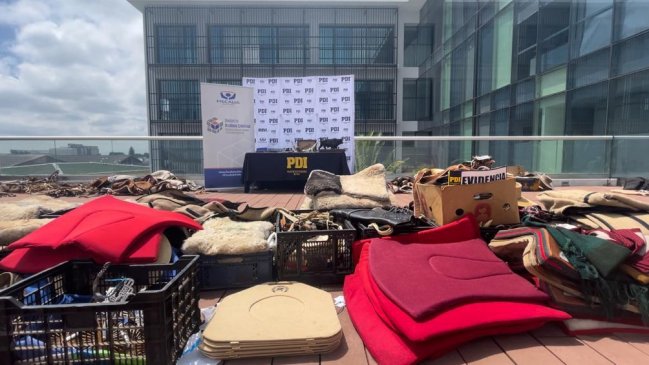 Cayó banda interregional dedicada a robar de aperos de huaso: Tres detenidos