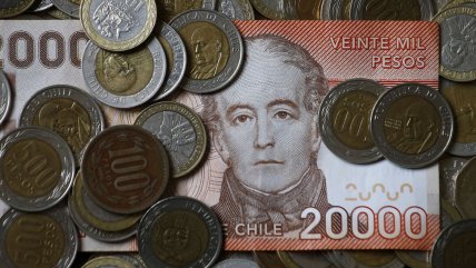   De Gregorio no ve razón para una moneda común sudamericana: 