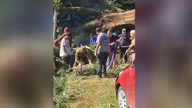 Puerto Varas: Árbol cayó sobre una cabaña y lesionó a un matrimonio