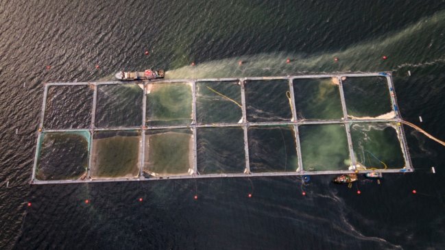 ONG medioambientales entregaron a Conaf informe de la incompatibilidad de la salmonicultura en la Reserva Nacional Kawésqar