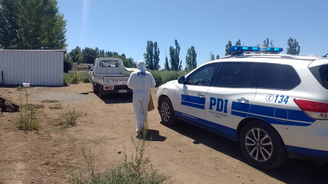 Maule: Delincuentes mataron a cuidador de fundo donde trabajaban temporeros