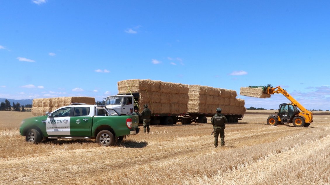 SOFO de La Araucanía pidió al Gobierno agilizar proyecto de Ley de Usurpaciones