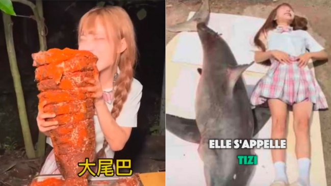 Bloguera china recibió millonaria multa por cocinar y comerse un tiburón blanco