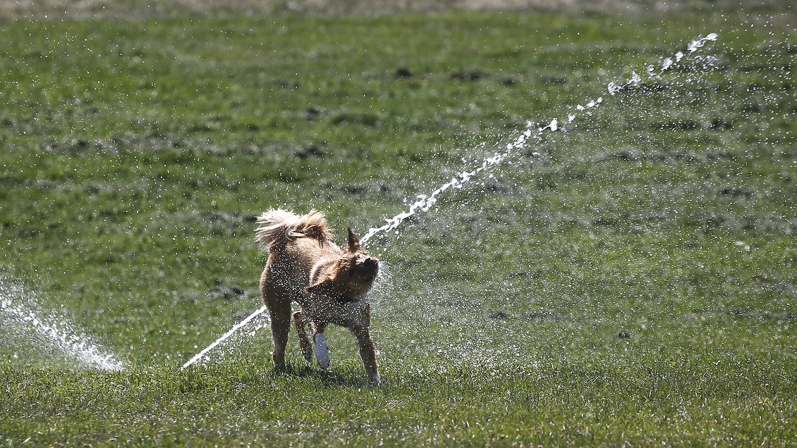 Calor extremo: Prevén 37 grados en Santiago y 42 en Ñuble y Biobío