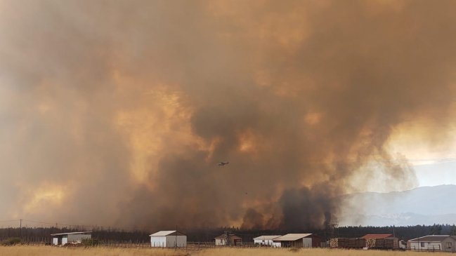 Incendio forestal mantiene en alerta roja a la comuna de Chol Chol