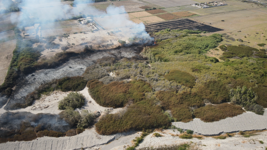 Incendio forestal destruyó tres hectáreas del humedal del Río Lluta en Arica