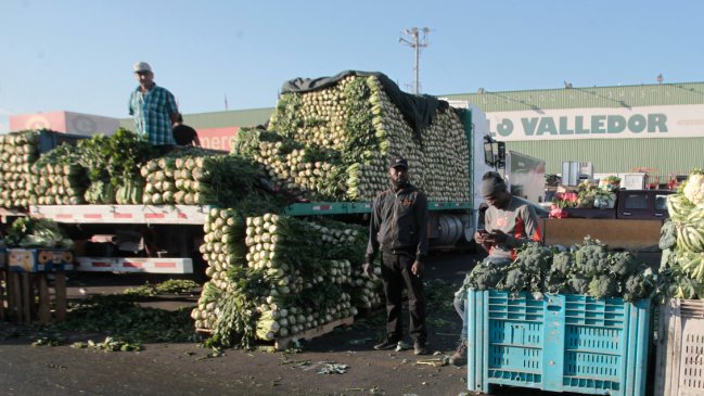 Persona que pernoctaba bajo un camión de carga fue arrollada en Lo Valledor