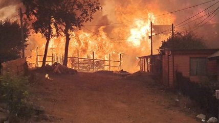   Alcaldesa de Tomé clama por ayuda aérea por grave incendio forestal: 