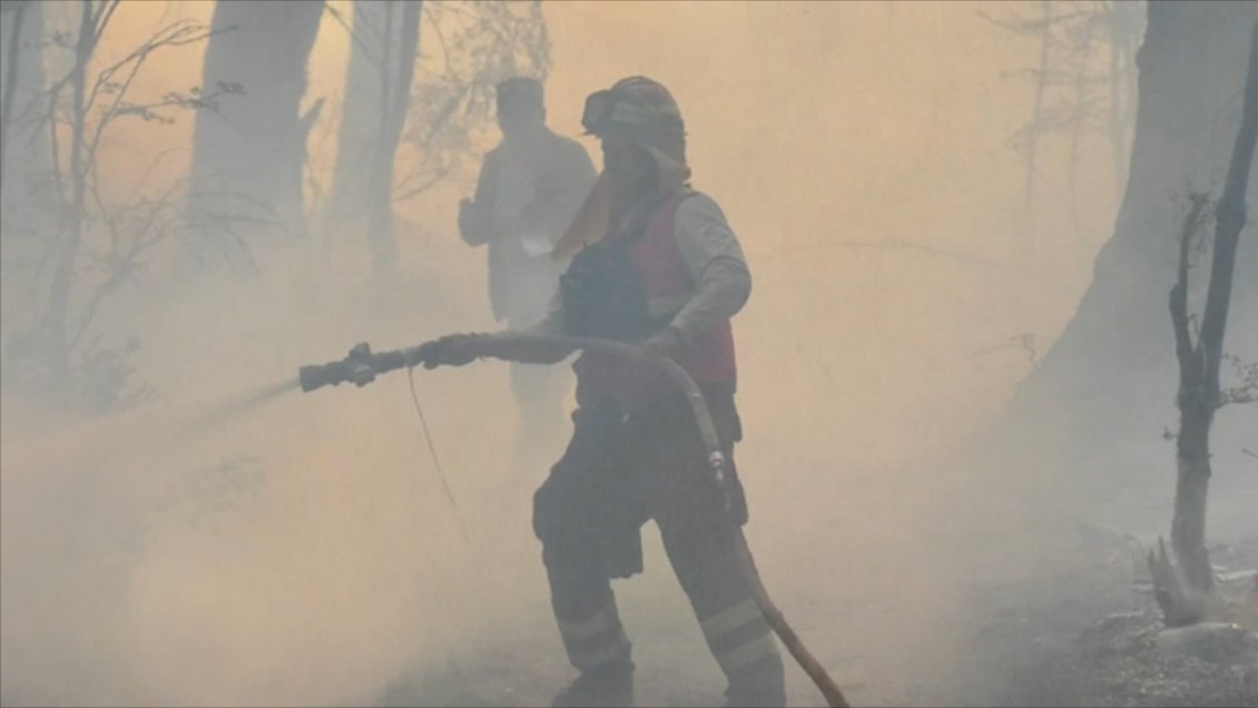 Brigadas forestales de Aysén se suman al combate de incendios en Ñuble y Palena