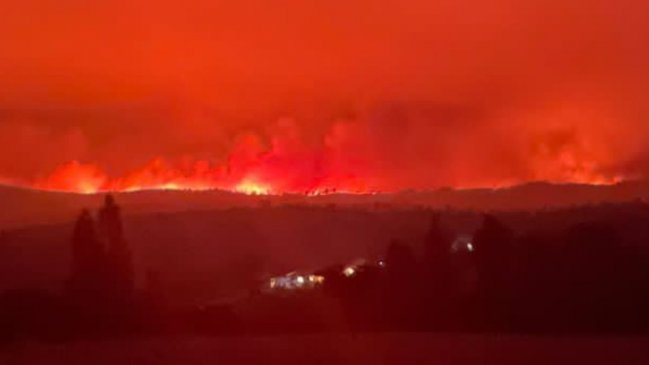 Ordenan evacuación de Ninhue por avance del incendio forestal: Se deben trasladar a San Nicolás