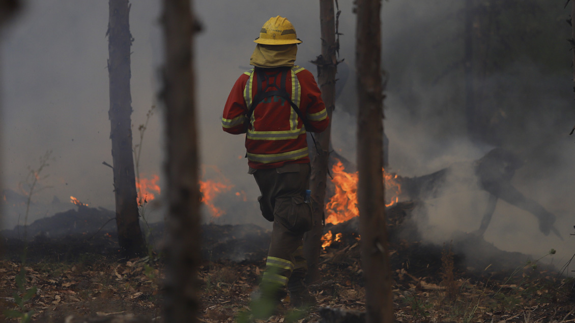 Jefe militar del Biobío evalúa toque de queda ante denuncias de abigeato y pillaje