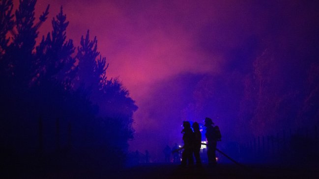 Corma: Pensar que incendios de esta envergadura no afectarán al bosque nativo es un error