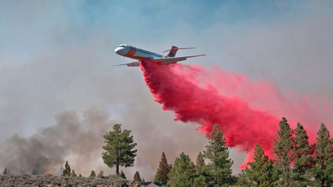 Las características del Aero Tanker, el avión que traerá la familia Luksic para combatir los incendios forestales