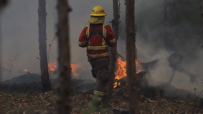 Jefe militar del Biobío evalúa toque de queda ante denuncias de abigeato y pillaje