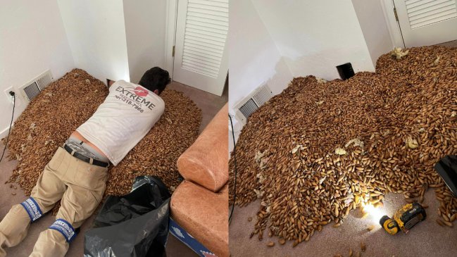 Quiso arreglar su casa y se sorprendió con lo que escondían sus paredes: 