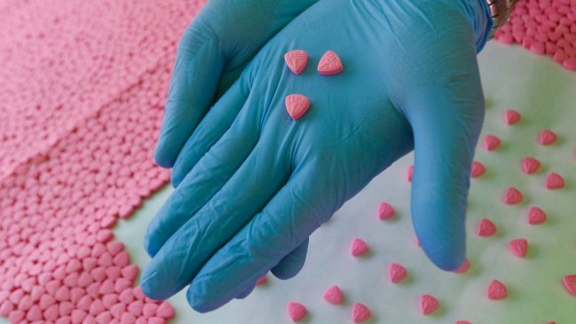 Hongos y éxtasis: Australia es el primer país en aprobar sustancias psicodélicas para uso médico