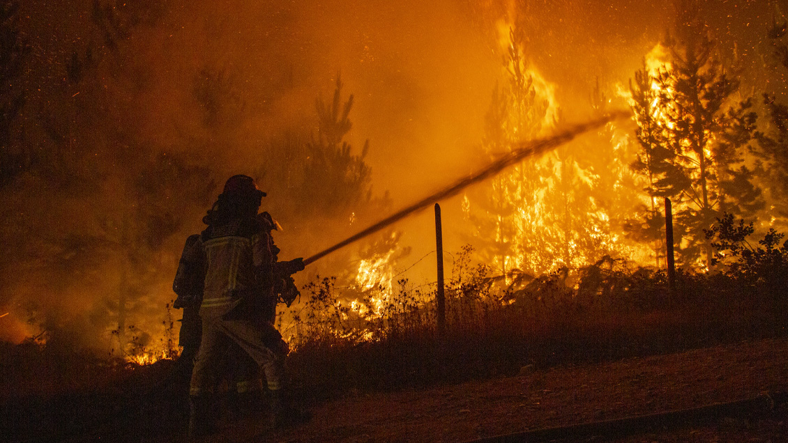 Alcalde: Hay gente que se interna en el bosque, prende fuego y es recogida en vehículos sin patente