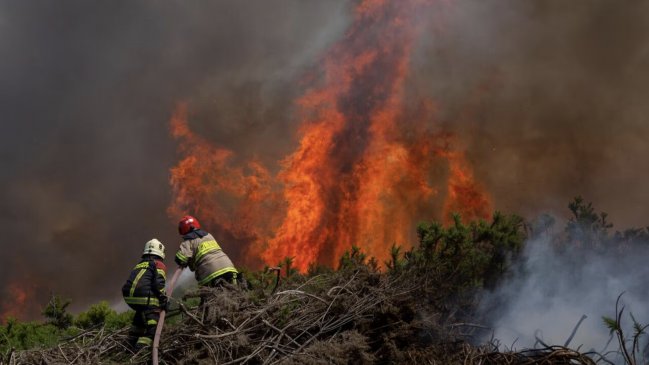 Bomberos de Arica se suman al combate contra los incendios forestales en el sur del país