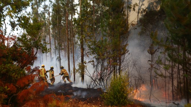 Cuatro personas en La Araucanía fueron formalizadas por provocar incendios en la zona de catástrofe