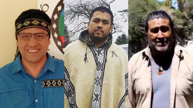 Territorio y reconocimiento: Las prioridades de los candidatos indígenas al Consejo Constitucional