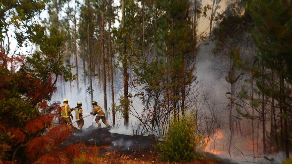 Cuatro personas en La Araucanía fueron formalizadas por provocar incendios en la zona de catástrofe