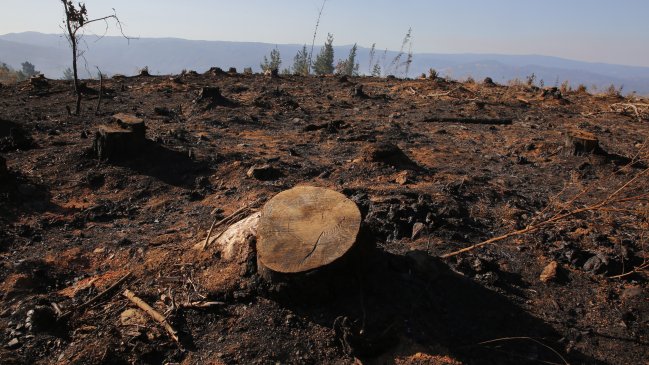 China envía condolencias a Chile por fallecidos en incendios forestales