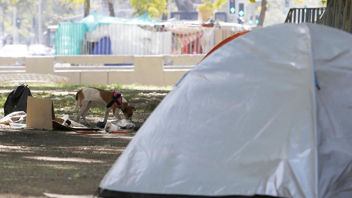 Orrego criticó al Gobierno por carpas en la Alameda: 
