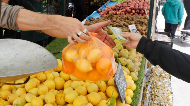 Sociedad Nacional de Agricultura descartó escasez o alza en el precio de los alimentos por incendios