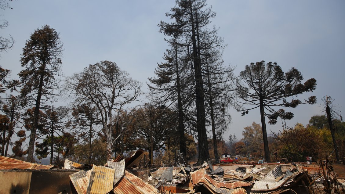 Comenzó pago del Bono de Recuperación a 1.742 hogares afectados por los incendios forestales