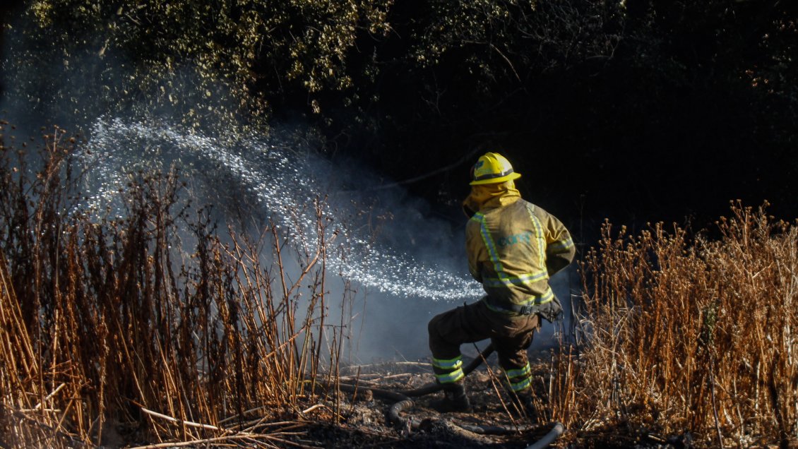 Gobierno confirma muerte de brigadista forestal en el combate de los incendios forestales
