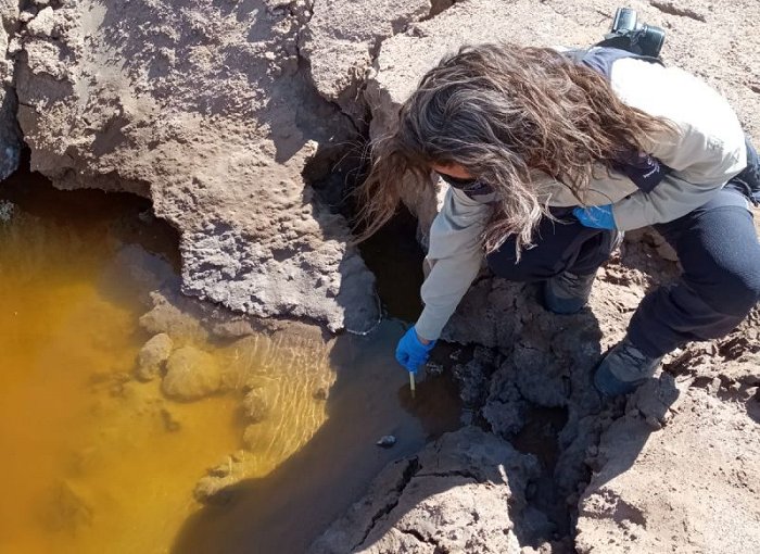 Imagen foto_00000011