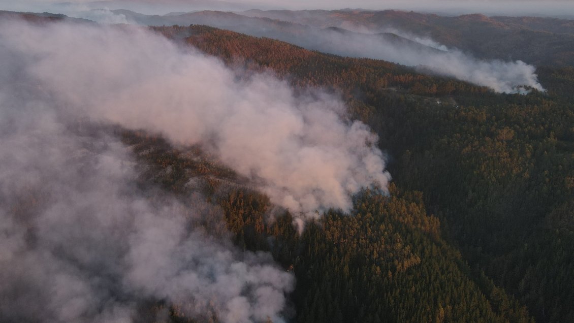Autoridades bajaron alerta amarilla regional por incendios en el Maule