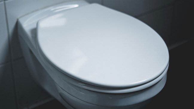 Descubren en China un inodoro con sistema de descarga de hace más de 2.000 años