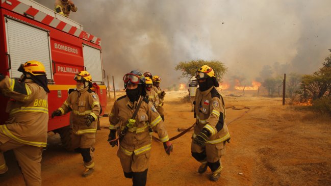 Conaf conmemora el Día del Brigadista Forestal en medio de emergencia por incendios